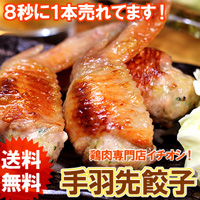 手羽餃子10本セット