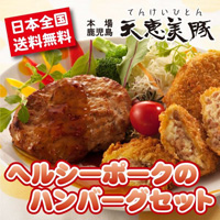 ヘルシーポークのハンバーグセット